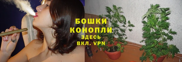 кокс Ельня