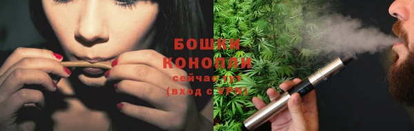 сатива Заводоуковск