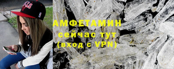 сатива Заводоуковск