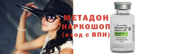 сатива Заводоуковск