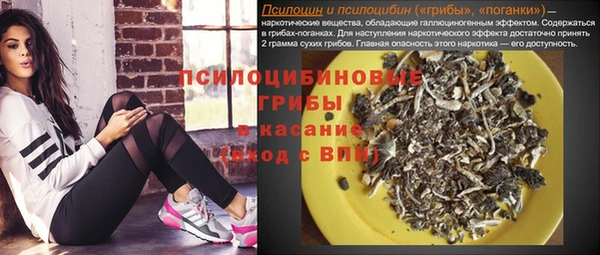 ECSTASY Елизово
