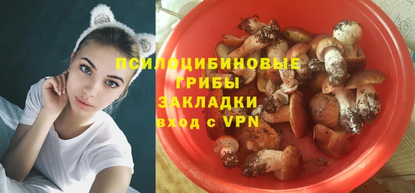 сатива Заводоуковск