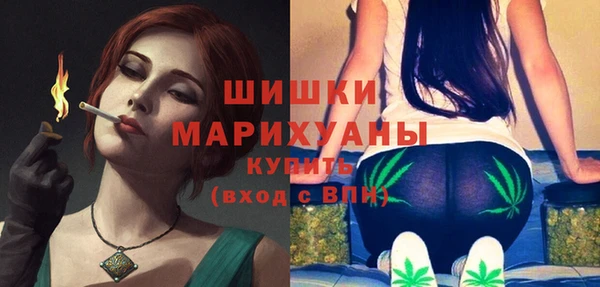 ПСИЛОЦИБИНОВЫЕ ГРИБЫ Заволжье