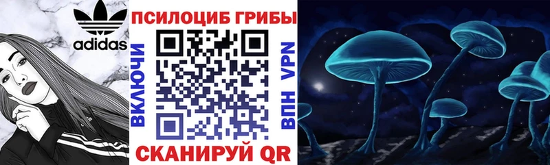 сколько стоит  Северо-Курильск  Галлюциногенные грибы Magic Shrooms 